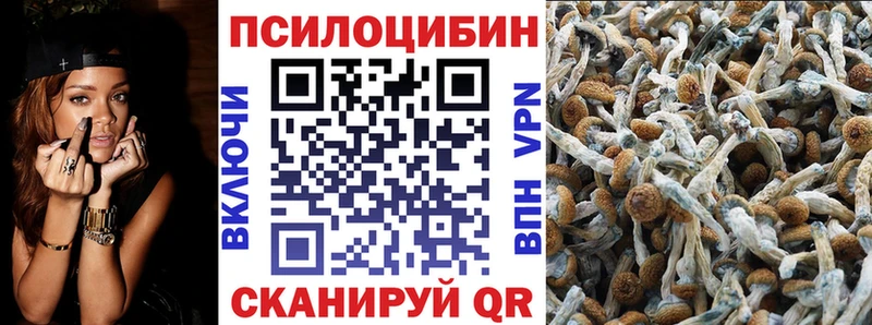 Галлюциногенные грибы ЛСД  Гаврилов-Ям 
