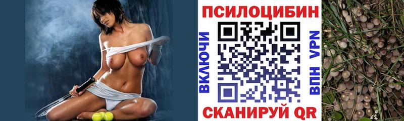 Псилоцибиновые грибы Magic Shrooms Гаврилов-Ям