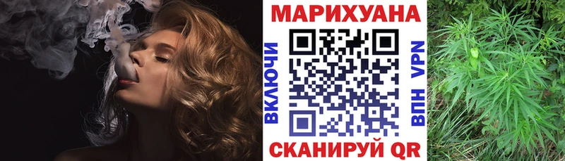 Конопля сатива  закладка  Гаврилов-Ям 